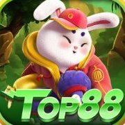 top88cassino