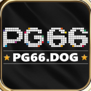 pg66dog