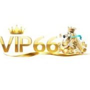 vip66gg