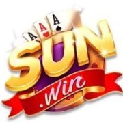 sunwin8org1