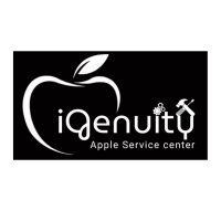Ingenuity Apple service