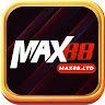 MAX88 LTD