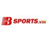 BSPORTS VIN