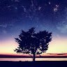starpsyche
