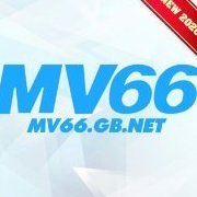 mv66gbnet