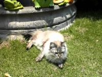 DSC00097.JPG