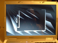 post-15532-1153044131_thumb.gif