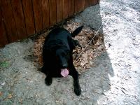 IMAG0011.JPG