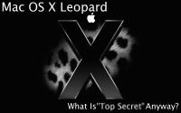 leopard03.jpg
