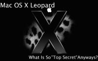 leopard05.jpg