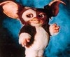 Gismo