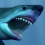 MegaloDon