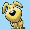 dober man