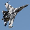 Wing123