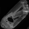 metamorphism