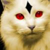 nekomata