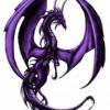VoiletDragon