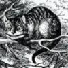 catswikd
