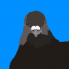 KickinPigeons