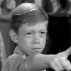 Gutz-Otoole