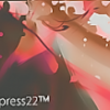Press 22