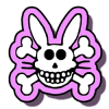 CostaBunny