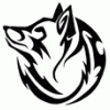 neo_fox33