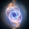 spacesee