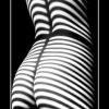 Jazzz