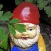 roaminggnome
