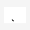 daedalus_24