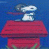 musio