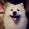 xhradioli