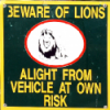 The Lion