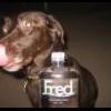 browndogfred