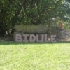 bidulemuch