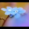yogesh1981
