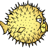 jelantix