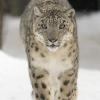 Tony_UnixLiKE
